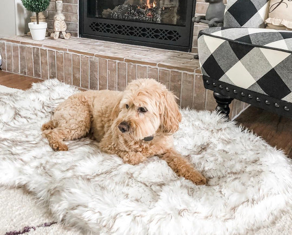 Pet beige mat