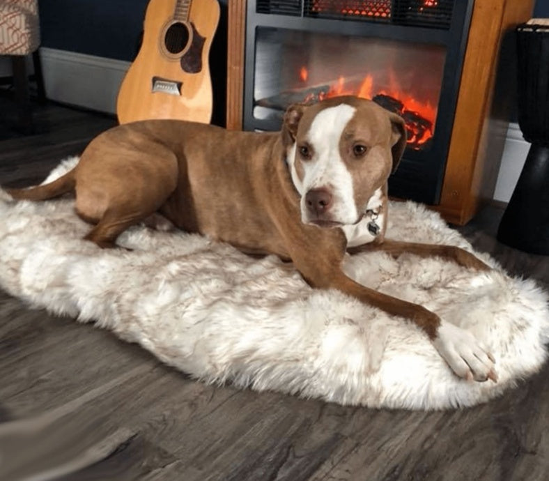 Pet beige mat